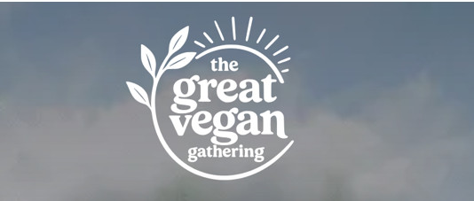 Scouts cancel venue booking for vegan festival after warning over “antisemitic” bands